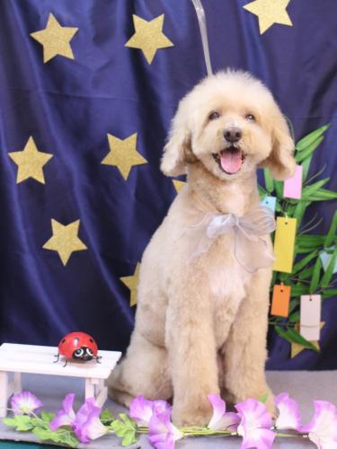 20230701アロマくん